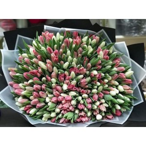 301 тюльпан 
