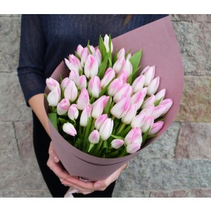 51 розовый тюльпан 
