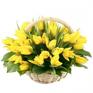 45 Желтых тюльпаны в корзинке