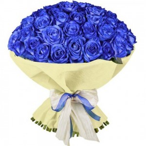 Синие розы 70 см 51 шт