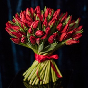 Красные тюльпаны
