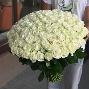 101 белая роза 