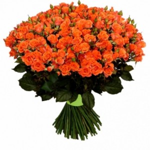 151 Кустовая роза оранжевая
