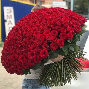 301 роза 