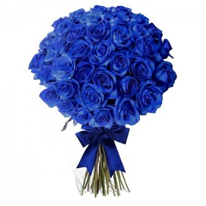 Синие розы 70 см 35 шт