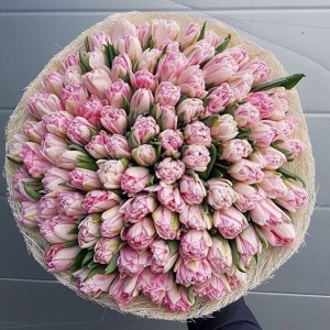 101 розовый пионовидный тюльпан 