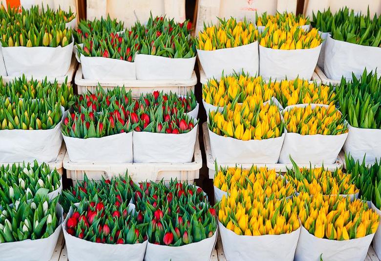 Тюльпаны купить в москве оптом доставка цветов в березовском свердловской области цены