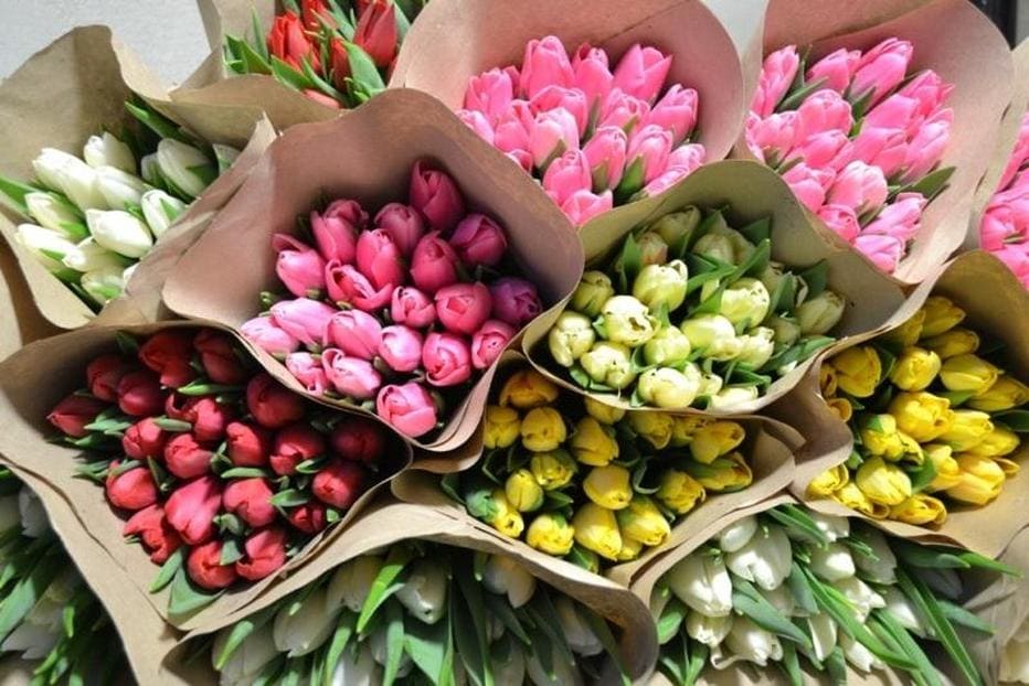 Тюльпаны купить в москве оптом mh flowers